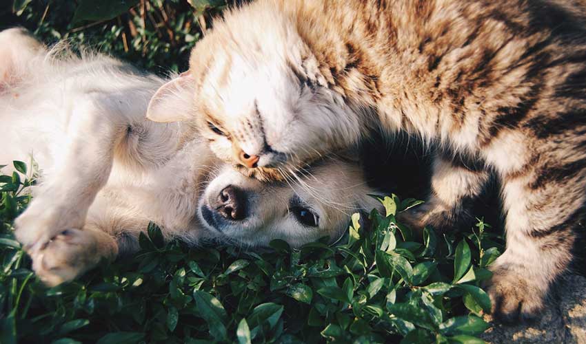 Tips on how to spot a fake friend