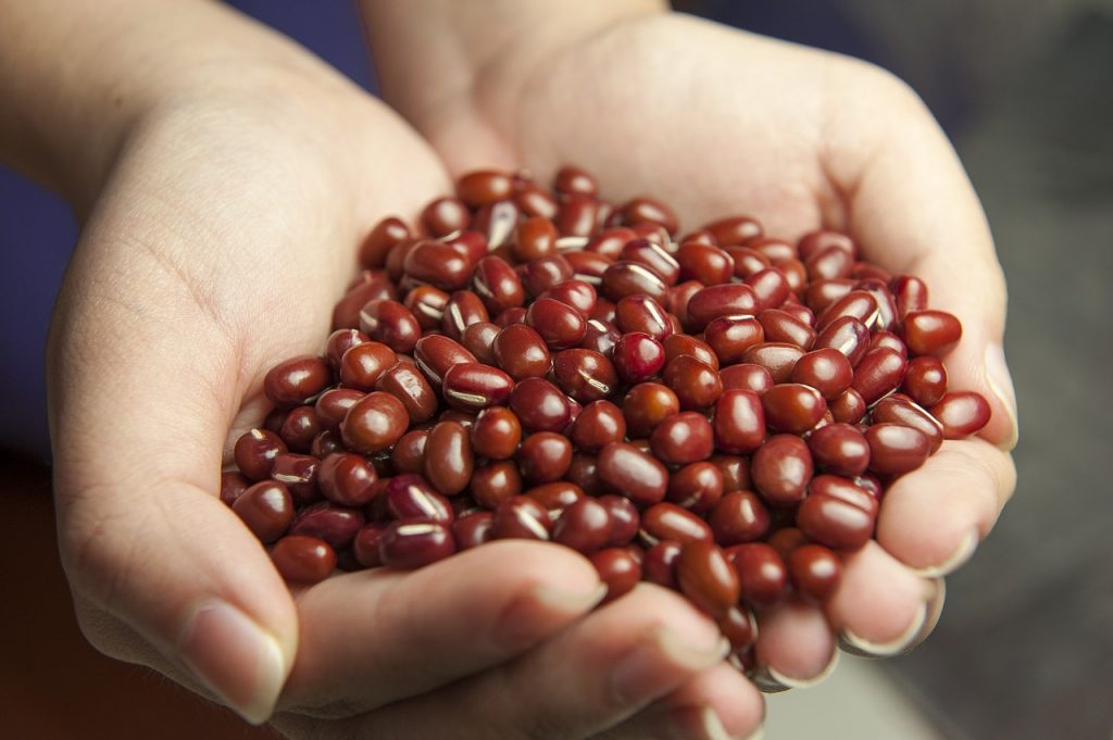 best food to lose weight is beans