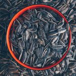 Top 9 Benefits of Sunflower Seeds benefits of sunflower seeds