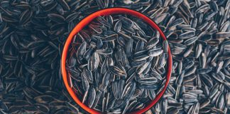 Top 9 Benefits of Sunflower Seeds benefits of sunflower seeds