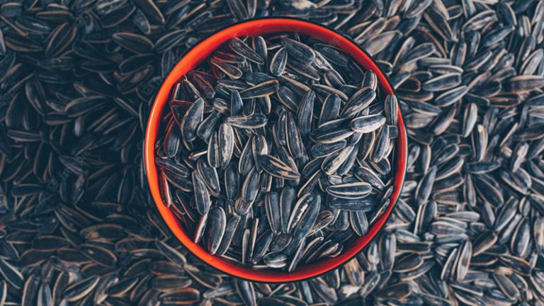 benefits of sunflower seeds
