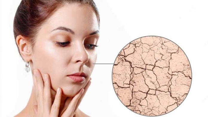 feature-img Dry skin