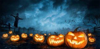 35 Best Famous Halloween Quotes (Updated 2023) Halloween Quotes