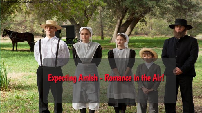 Expecting Amish