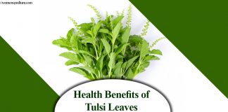 Health Benefits of Tulsi Leaves (Holy Basil) Health Benefits of Tulsi Leaves (Holy Basil)