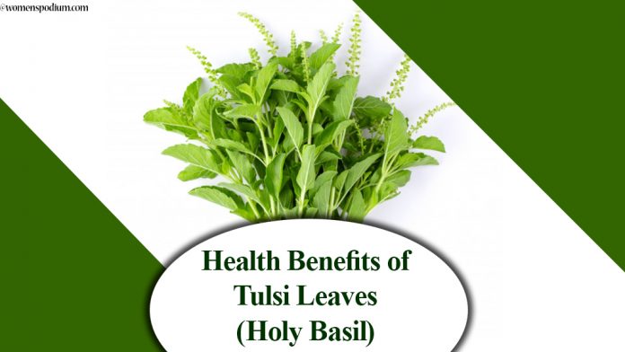 Health Benefits of Tulsi Leaves (Holy Basil)