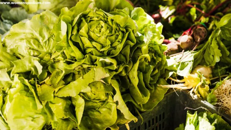 Dark green leafy vegetables