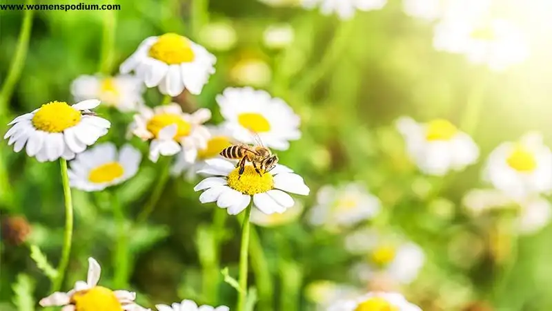 Benefits of natural remedies
