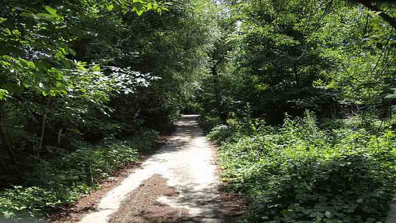 Danube Cycling Trail - off road trails