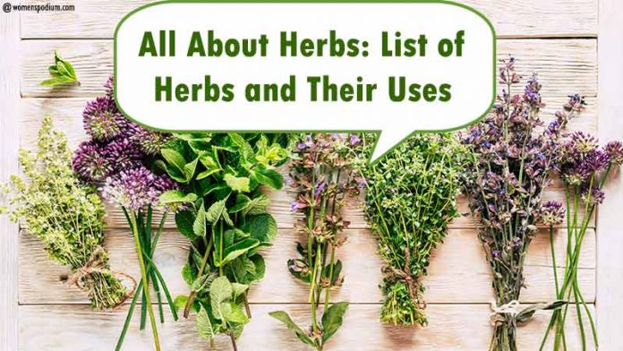 Herbs and Their Uses