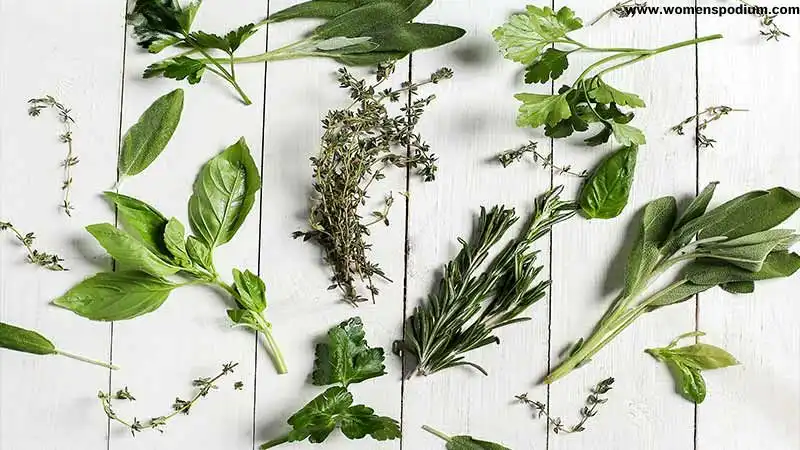 Kinds of herbs and spices
