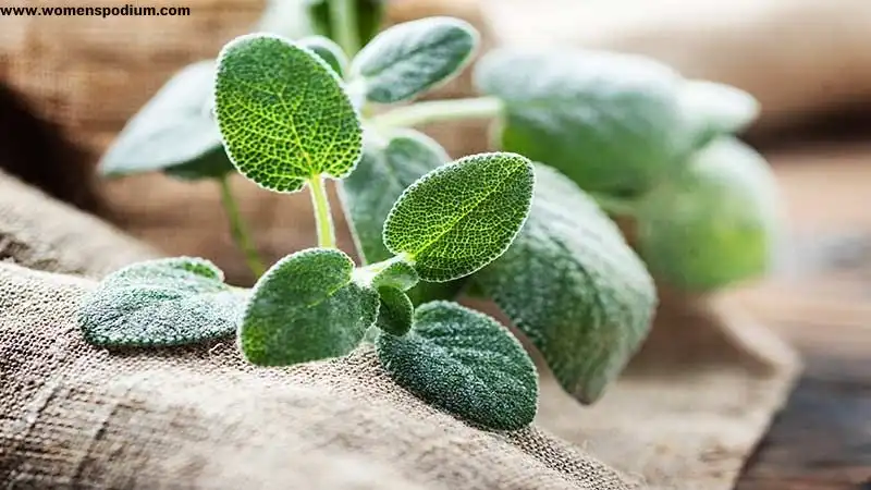 Plant based remedies