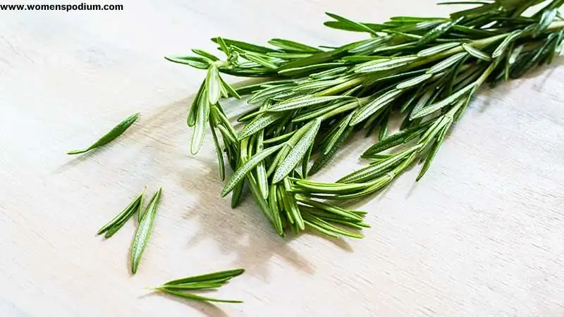 Rosemary herb