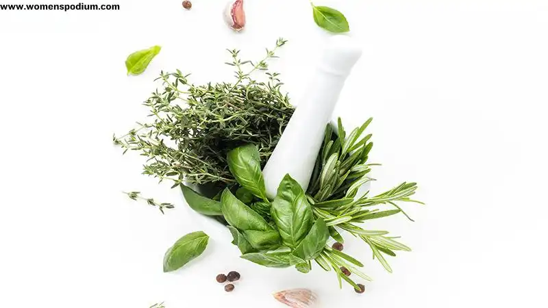 Types of herbs and spices