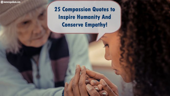 compassion-quotes.jpg compassion quotes