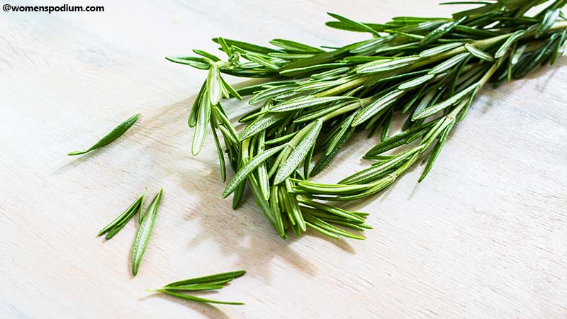 Rosemary Herb