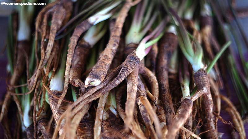 Female Ginseng