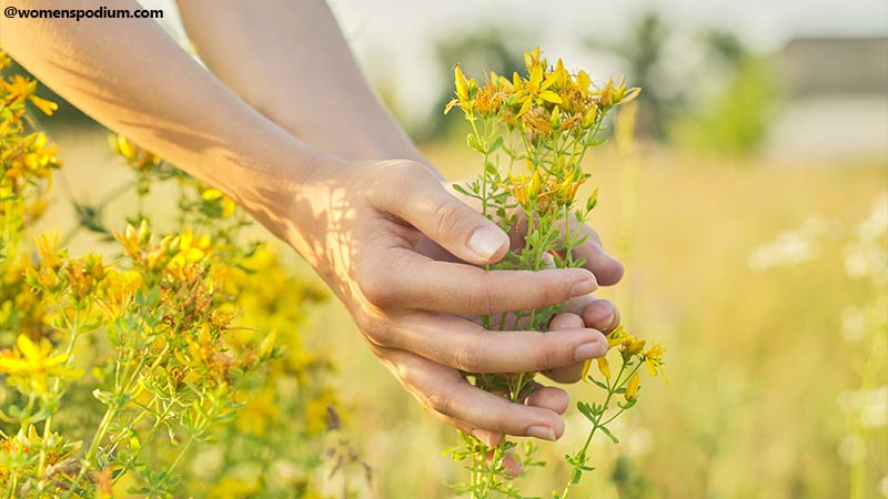 Herbal Treatments