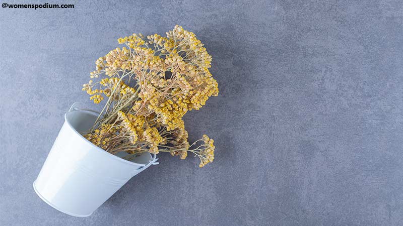 Drying Parsley