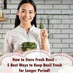 How to Store Fresh Basil