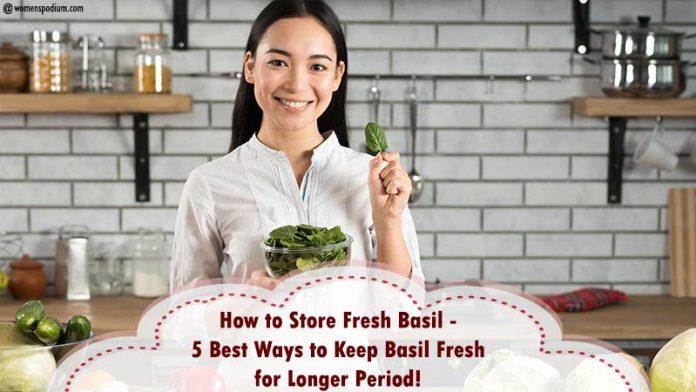 How to Store Fresh Basil