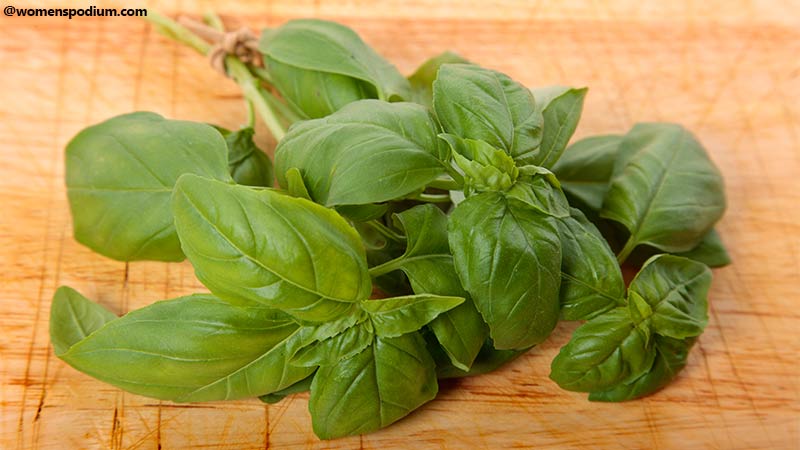 How to Store Basil