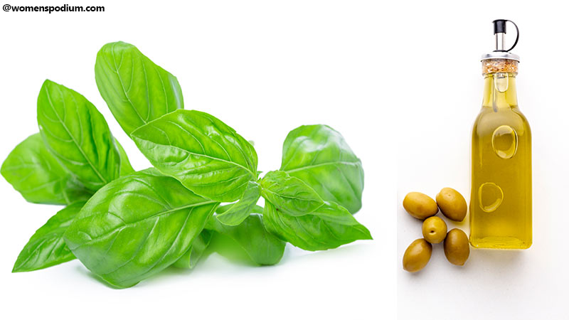 How to Store Basil Properly