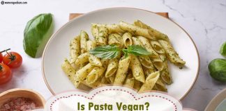 Is Pasta Vegan? What to Look and Avoid? Is Pasta Vegan