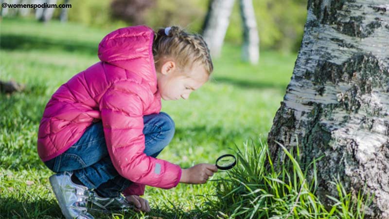 Curiosity and Learning