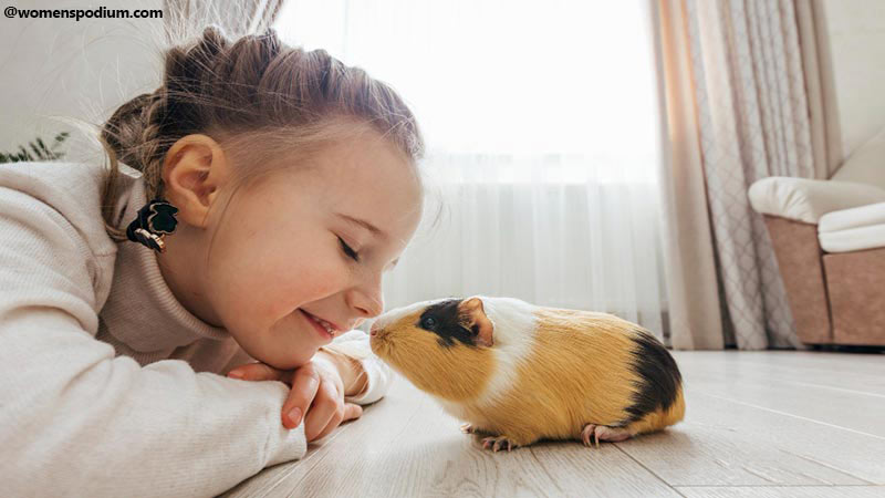Little Pet