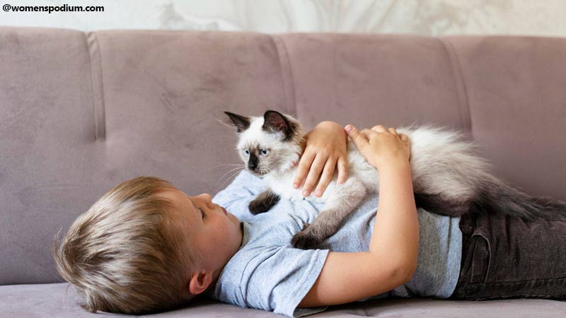 Pet Care