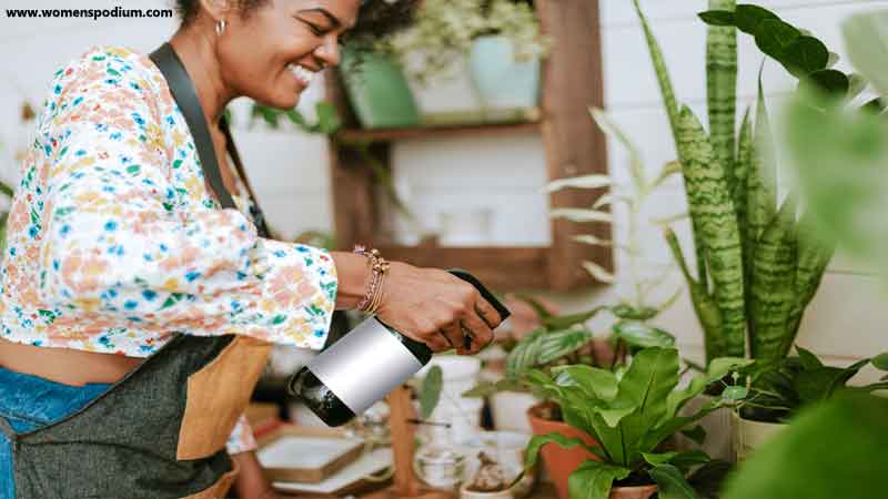 Spraying the plants - Indoor Vegetable Garden