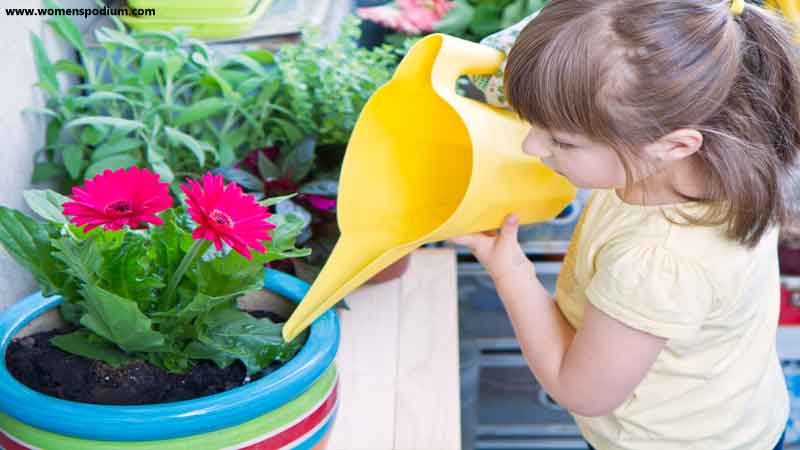 Watering the lants - Indoor Vegetable Garden