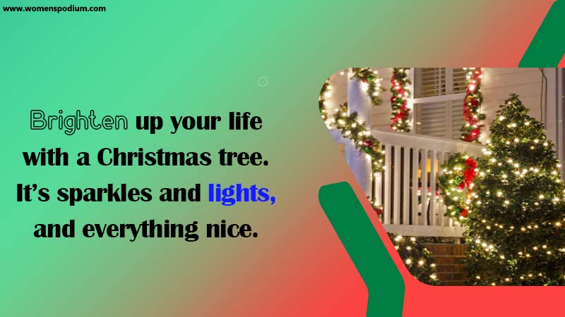 Christmas Trees Quotes