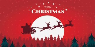 Get Yourself In The Holiday Spirit – 55 Best Christmas Tree Quotes! (Updated 2023) Christmas tree Quotes