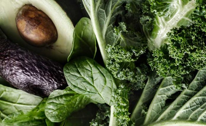 feature-img Most Hated healthy Foods
