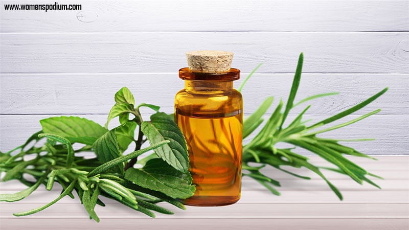 treating infections with tea tree oil - Essential Oils for Allergies