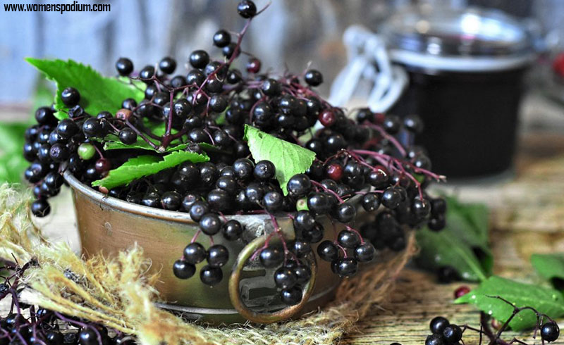 elderberry