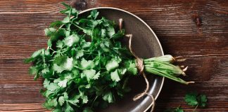 Why is Parsley Healthy? Some Tips on How to Dry Parsley? How to Dry Parsley