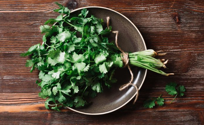 How to Dry Parsley