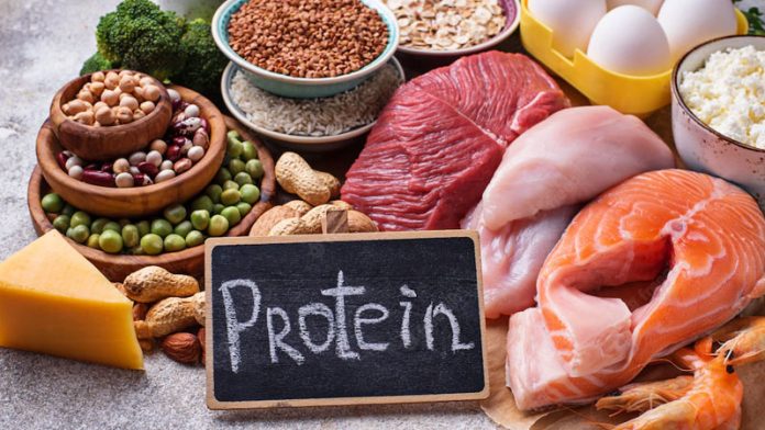 protein foods for kids