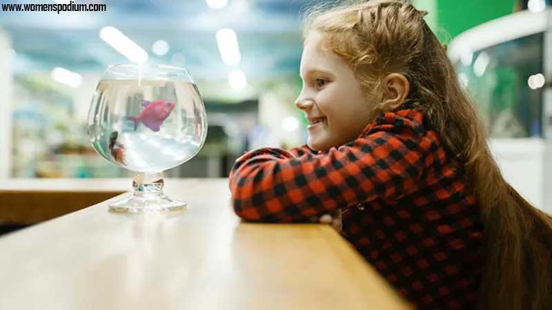 fish - Pets for Kids