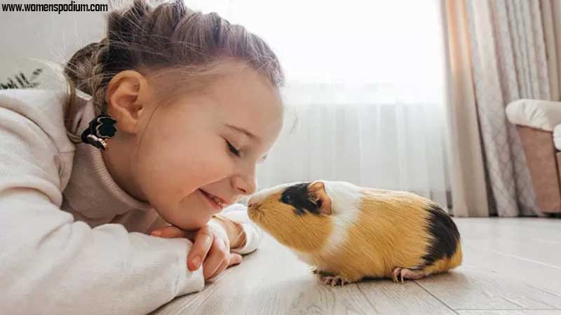 guinea pigs - Pets for Kids