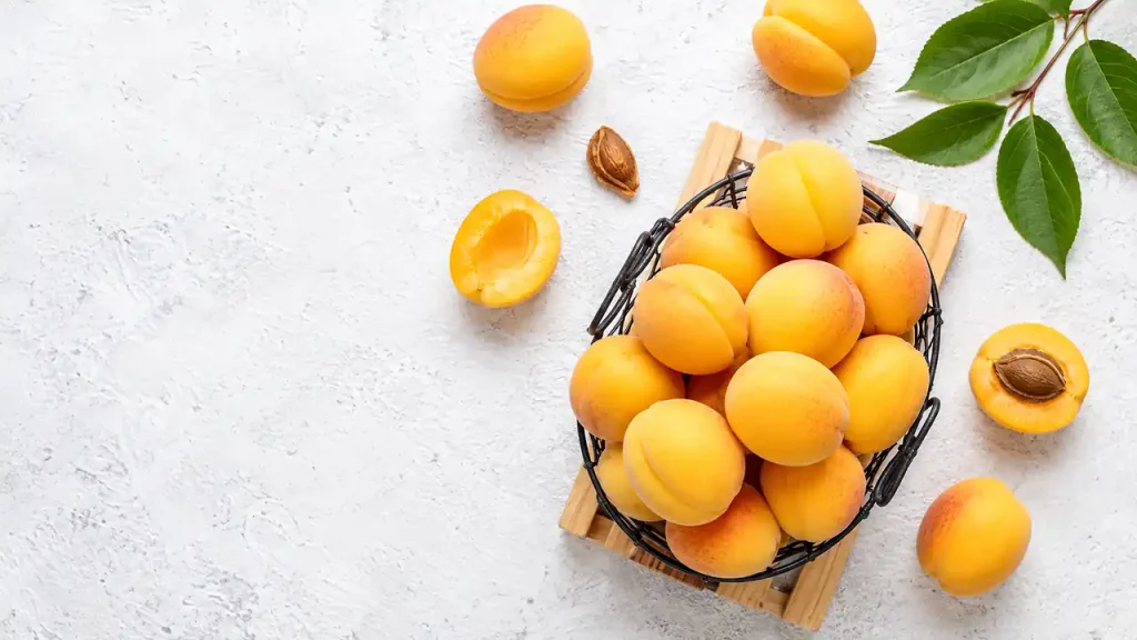 Apricot is fruit high in protein