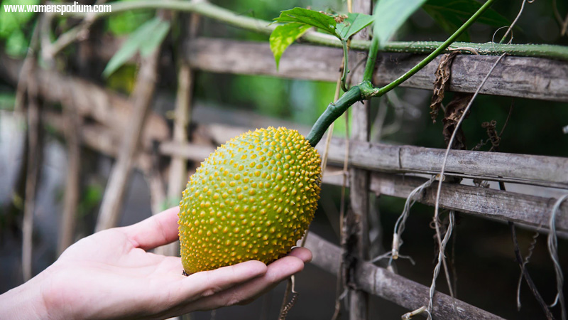 jackfruit