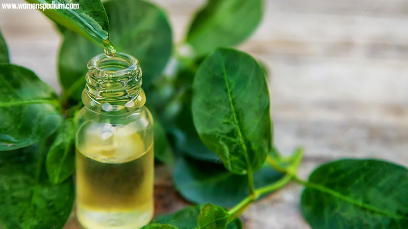 tea tree - essential oils sinusitis