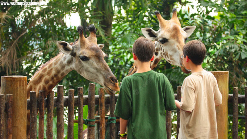 visiting zoo