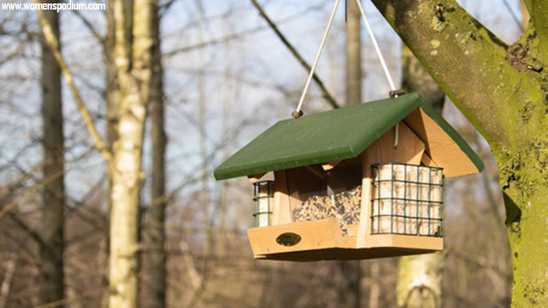 Build A Bird-House - Fun activities with dad