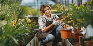 How To Build A Terrace Garden – Useful Tips For Terrace Gardening terrace garden