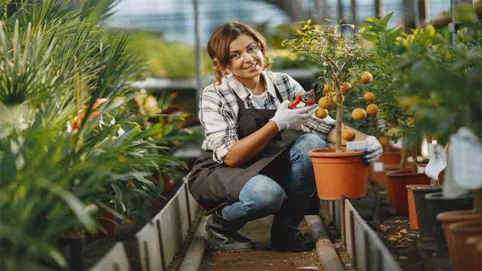feature-image terrace garden